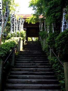 杉本寺階段.jpg