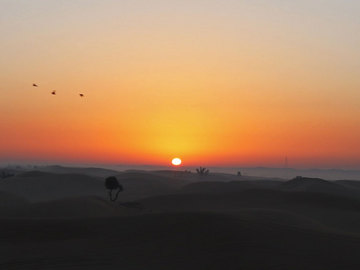 砂漠の朝日.jpg
